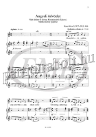 Termékváltozat kép